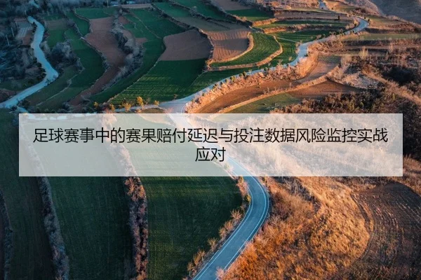 足球赛事中的赛果赔付延迟与投注数据风险监控实战应对